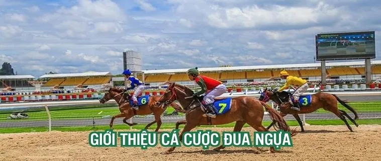 Khám Phá Cá Cược Đua Ngựa 88VIN: Cơ Hội Đổi Đời 2 Khám Phá Cá Cược Đua Ngựa 88VIN: Cơ Hội Đổi Đời