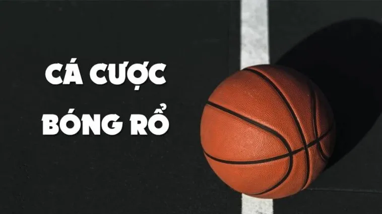 Bóng Rổ ManClub Nơi Cược Thủ Việt Nam Chinh Phục Giấc Mơ Thể Thao 2 Bóng Rổ ManClub Nơi Cược Thủ Việt Nam Chinh Phục Giấc Mơ Thể Thao