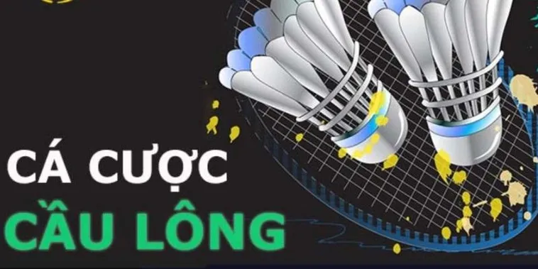 Hướng Dẫn Cá Cược Cầu Lông Tại H3BET: Bí Quyết Thành Công