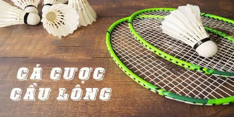 Hướng Dẫn Cá Cược Cầu Lông Tại Moto88: Bí Quyết Thắng Lớn Mới Nhất