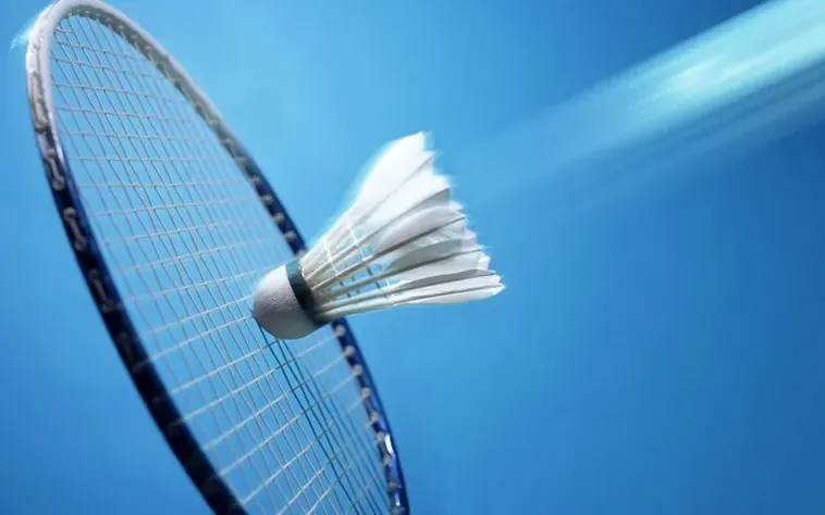 Cách Chơi Cá Cược Cầu Lông Tại 79Win Hiệu Quả Và Thuyết Phục