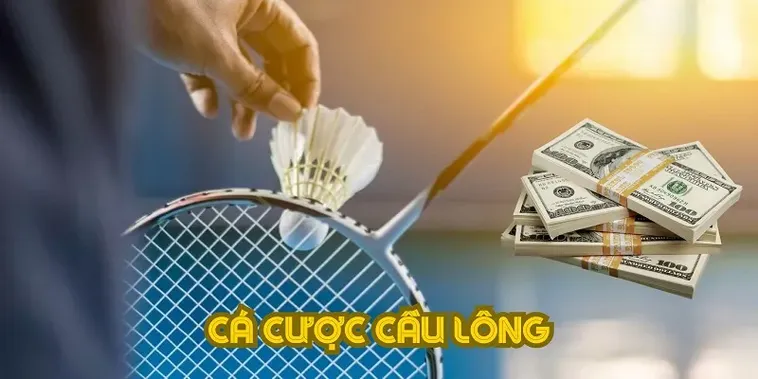 Cách Chơi Cá Cược Cầu Lông Tại 79Win Hiệu Quả Và Thuyết Phục